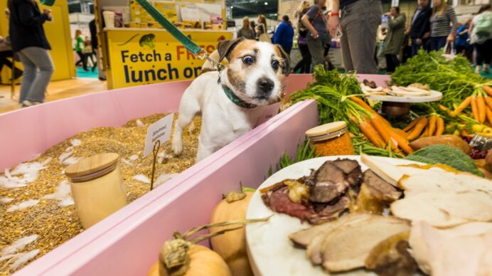 What Is Experiential Marketing?