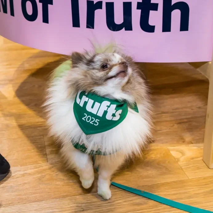 branded items for events