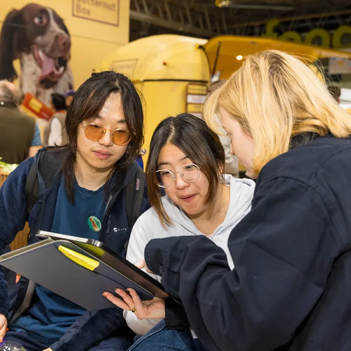 Crufts display designers